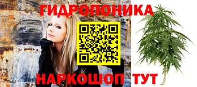 кокаин Моздок