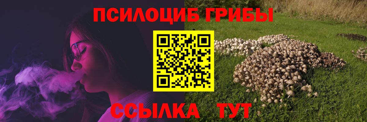 Псилоцибиновые грибы GOLDEN TEACHER  Вход с VPN  Псилоцибиновые грибы Psilocybe  Славгород 